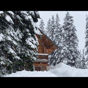 Meet your Posher, Dentgold